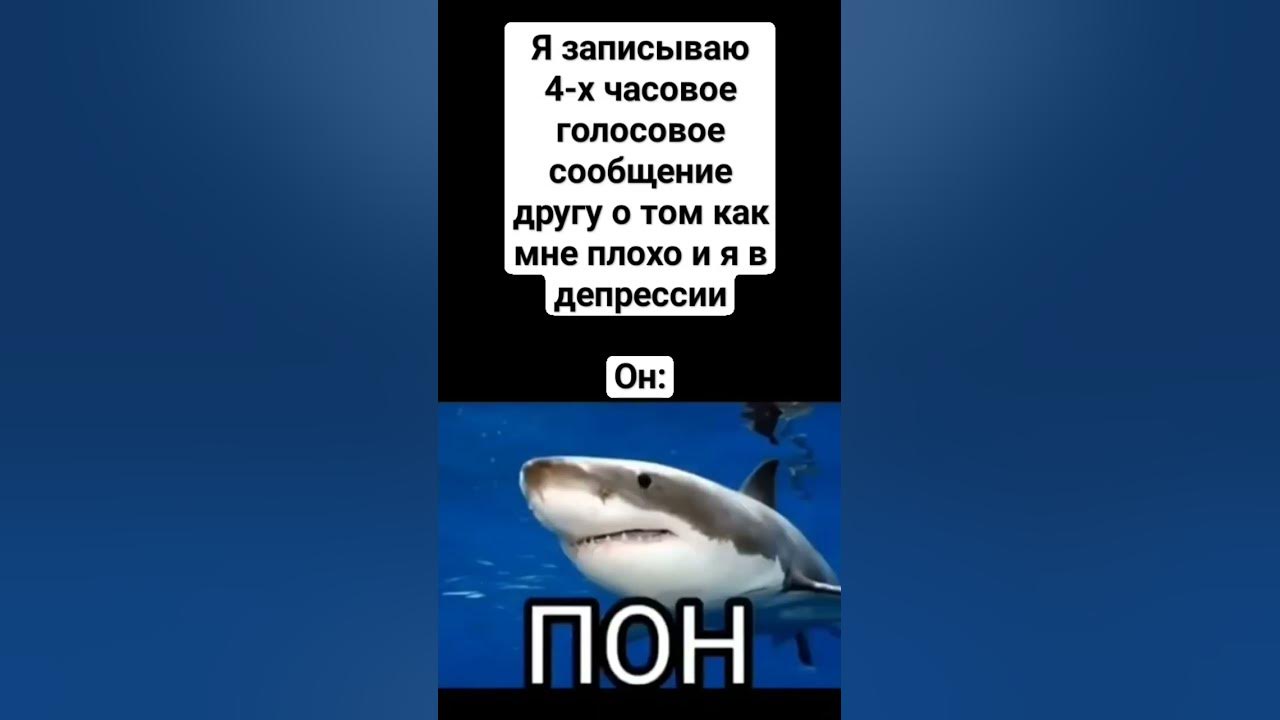 #мем #жиза #смешно #шиза - YouTube