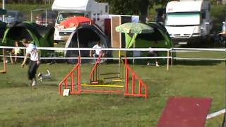 Dolly-Jumping-Obernai.mpg