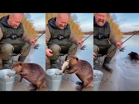 SCARECAM Pranks Reaction 2025 #299  |Funny Scare Pranks/Jumpscare/Funny Videos