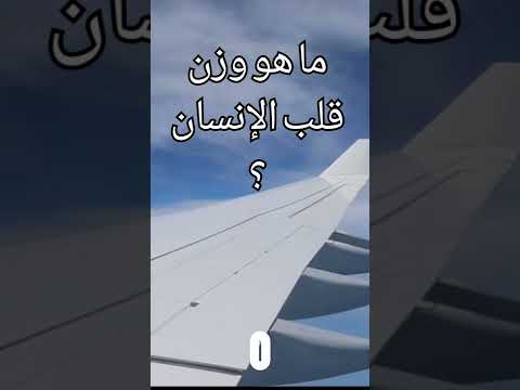 وزن قلب الإنسان