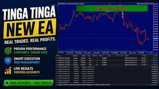 Every Trade Explained — How Tinga Tinga New EA Turned $463 Into $75,624 in 14 Days | Real Proof