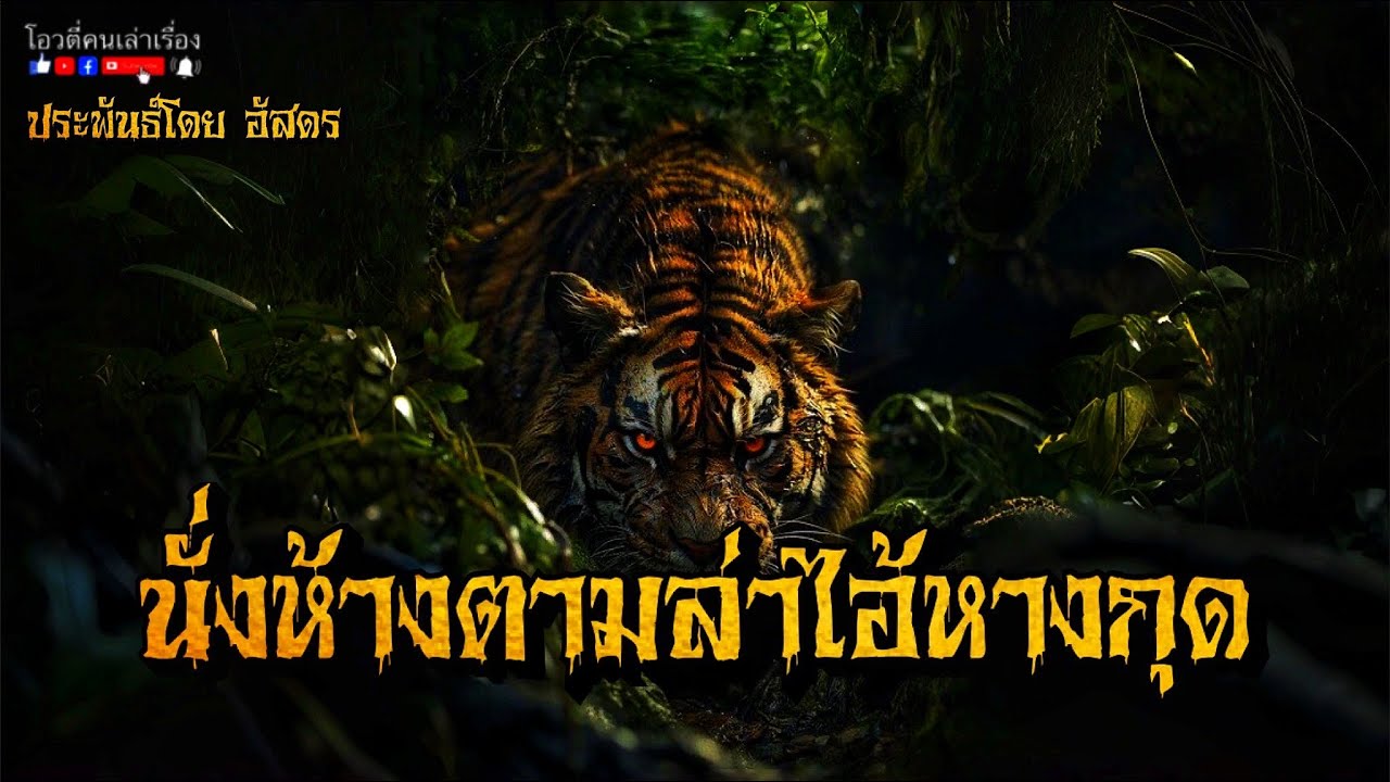 นั่งห้าง ตามล่าไอ้หางกุด