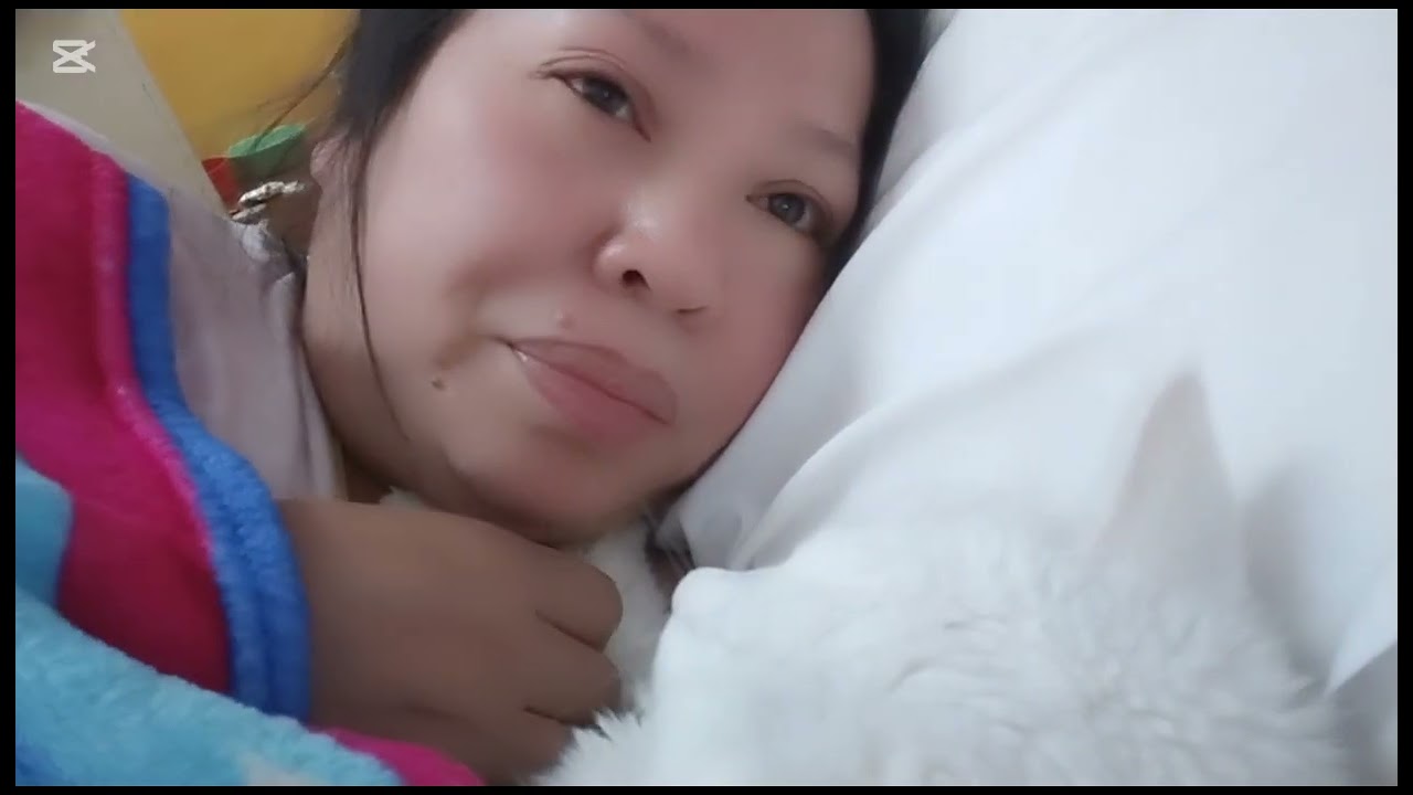 DAILY ROUTINE BEFORE SLEEP WITH MY CAT WHITY #CATLOVER