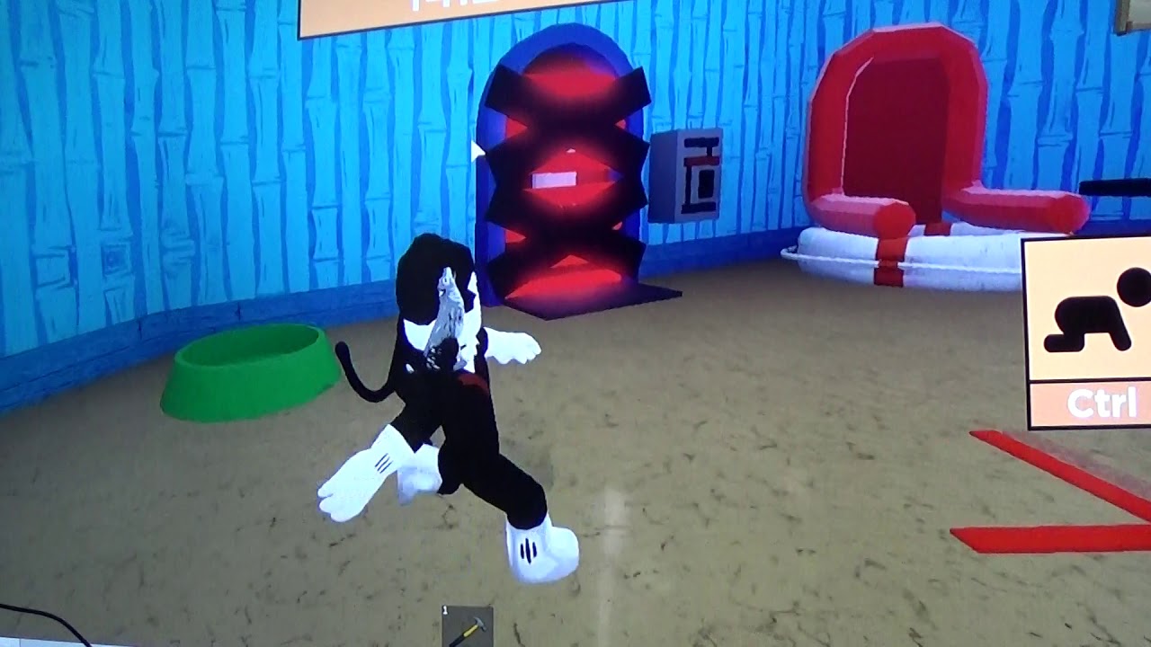 Spongebob Is A Cold Blooded Killer!!!!!!! Roblox SPONGE! YouTube