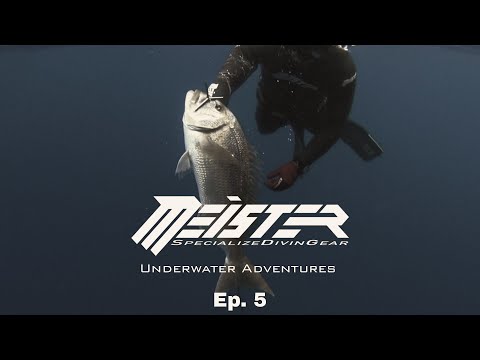 Meister - Underwater