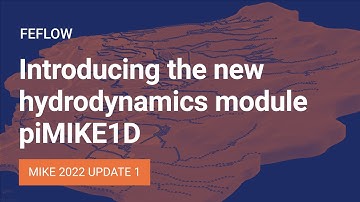 FEFLOW | Introducing the new hydrodynamics module piMIKE1D