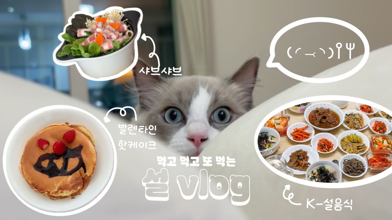 설날 혼자 있을 고양이를 위한 먹이퍼즐 DIY | 새로운 고양이 장난감