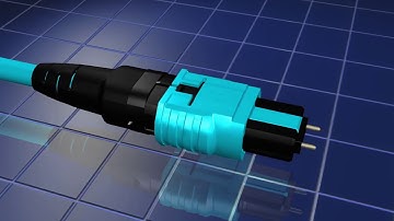 How to Change Polarity and Gender on PanMPO