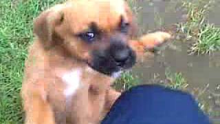 20100601.mp4