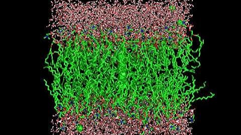 Henry Namiot X-SIG 2021 Lipid Bilayer Gromacs Example