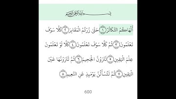 سوره التكاثر  مكررة 4 مرات