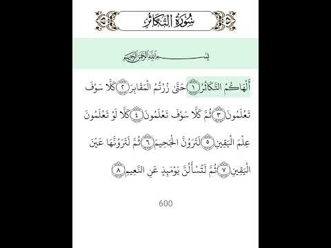 سوره التكاثر مكررة 4 مرات