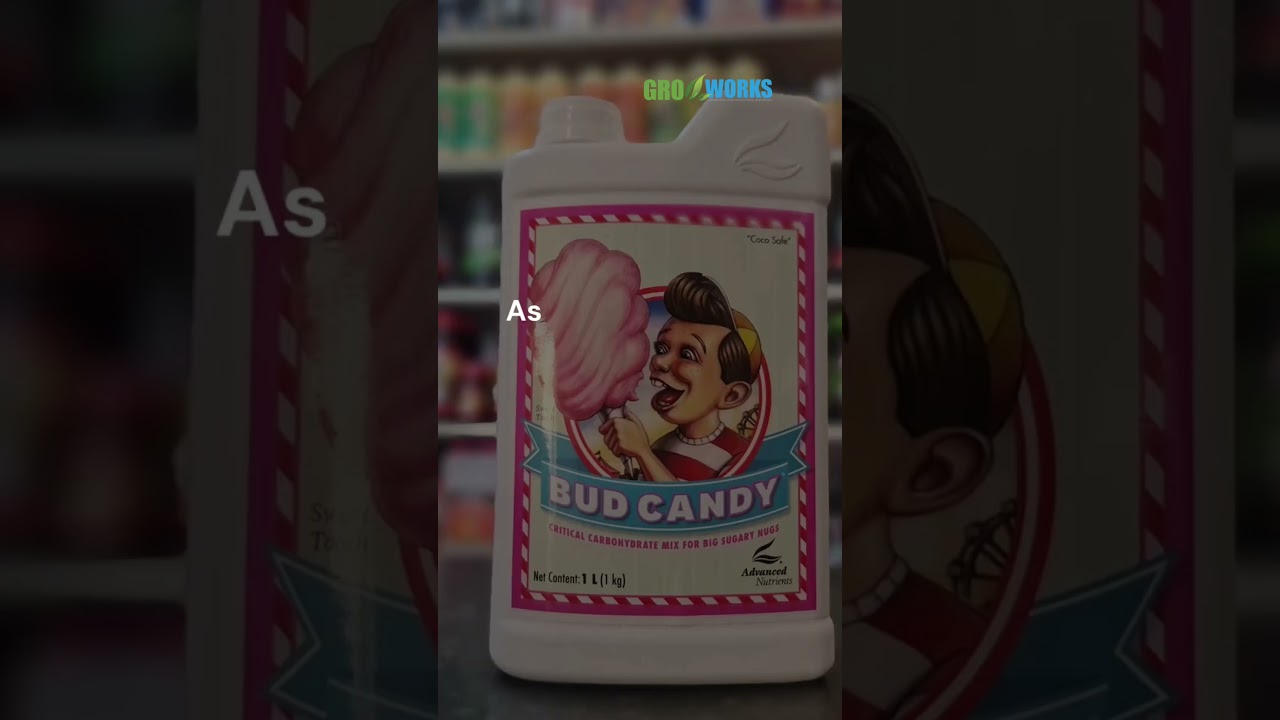 Want sweeter more aromatic flowers? try Advanced Nutrients Bud Candy 