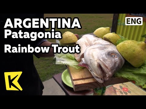 【K】Argentina Travel-Patagonia[아르헨티나 여행-파타고니아]자연의 맛, 무지개 송어요리/Rainbow Trout/Lake/Ananda Bar