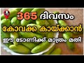 ഏത് കാലാവസ്ഥയിലും കോവക്ക വളരാൻ | kovakka krishi malayalam | terrace farming easy krishi tips kerala