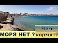 DANA BEACH 2021 ХУРГАДА - обзор МОРЯ, ПЛЯЖА и ОБЕДА! И мелочи, которые могут испортить вам отдых!