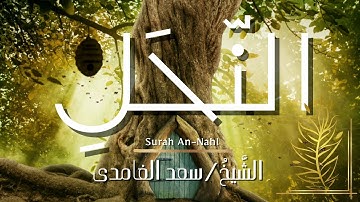 سورة النحل / المصحف المرتل/ الشيخ سعد الغامدي/ Surah An-Nahl / Sheikh Saad Al-Ghamdi
