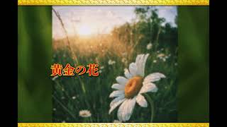 黄金の花 ネーネーズ 歌ってみた Cover Itsuki 16 Youtube 黄金の花 ネーネーズ 歌ってみた Cover Itsuki 16 Youtube