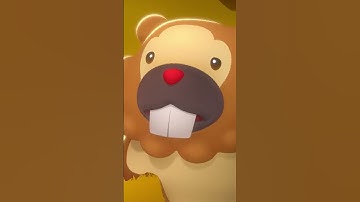 Stand tall, Bidoof ❤️