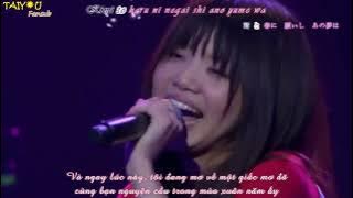 [Vietsub Kara] SAKURA - いきものがかり Ikimonogakari