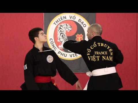 Video Vo Co Truyen Vietnam - youtube