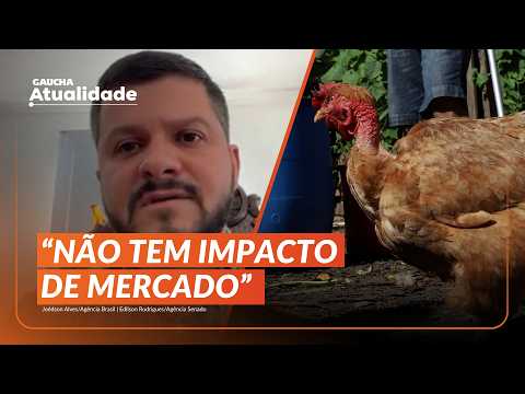 BIRD FLU case confirmed in RS; understand what it means | Gaúcha Atualidade