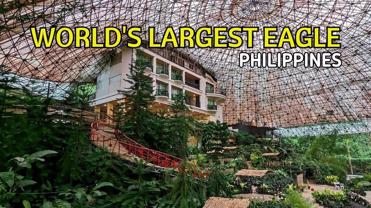 Davao City Ultimate Guide: Philippine Eagles & Durian Tour