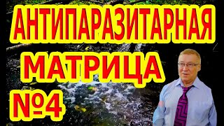 Матрица №4 Антипаразитарная!