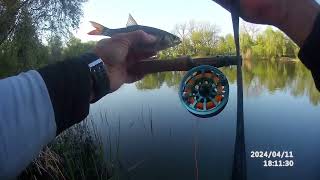 : Fly fishing . .       .