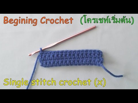 Beginning Crochet stitch : การถักโครเชต์เบื้องต้น