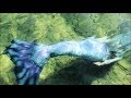 Videos of Real Life Mermaids Swimming Together || MERMAID VIDEOS || Beautiful Lake Michigan Footage