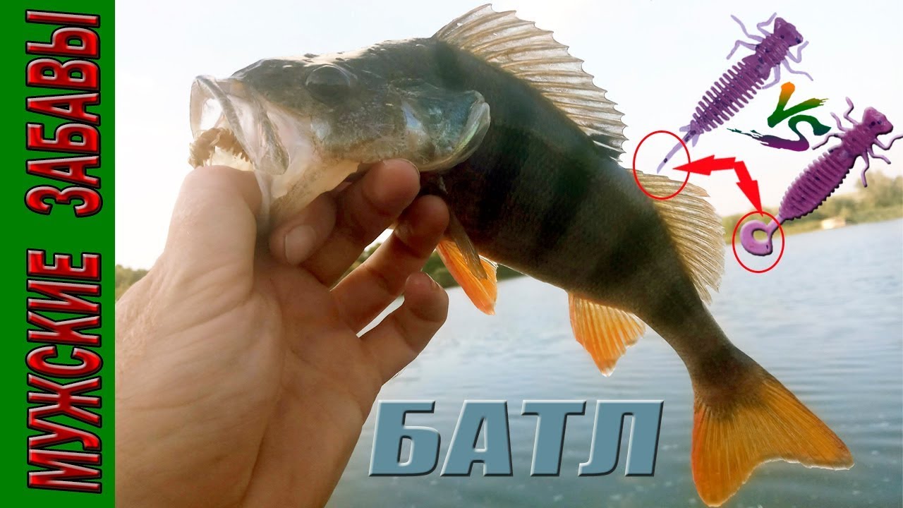Ловля окуня  БАТЛ!  с. Отрадное Запорожье