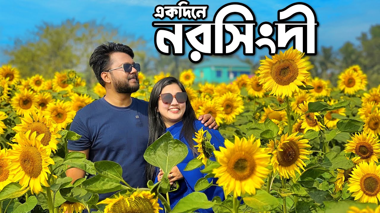 পরিবার নিয়ে নরসিংদীতে একদিন 💕 ঢাকার কাছেই Day Tour | Dream Holiday Park | Sunflower Garden