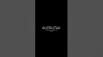 كروما شاشة سوداء قران كريم |تلاوة خاشعة من #سورة_الحج  #عبدالله_الخلف