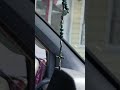 У каналі Halina Pavlenko відбувається прямий ефір.