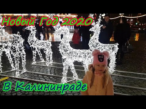 Новогодний Калининград | Прогулка по Площади Победы.