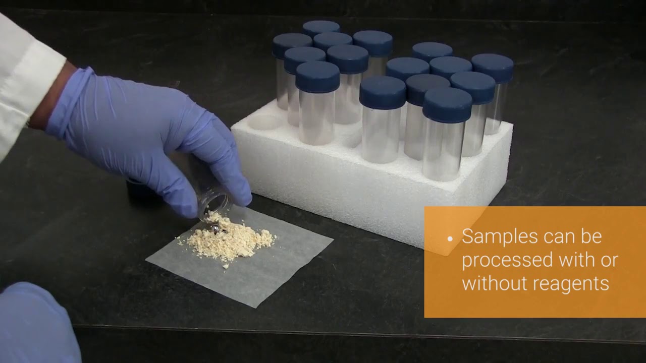 How to extract DNA from plant and animal tissue - YouTube