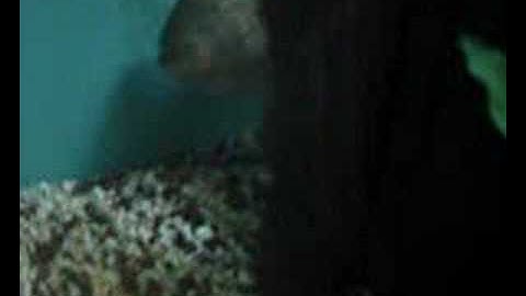 The Spawning Of My Pygo