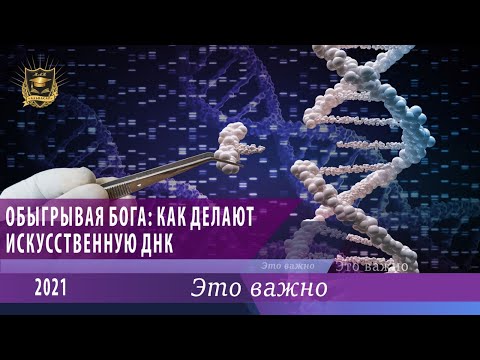 Video: DNK Ag: 