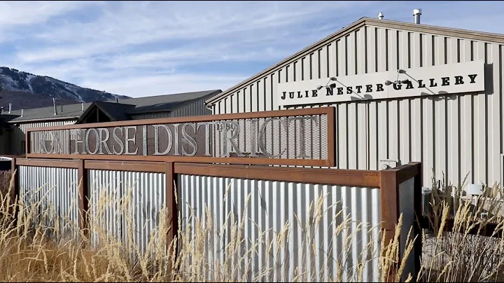 Julie Nester Gallery Video Tour