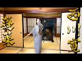 日本舞踊「蓬莱」前半を踊ってみた＜Nihonbuyo Hourai / Kan Nishikawa＞@会津東山温泉向瀧【西川寛】日本舞踊チャンネル