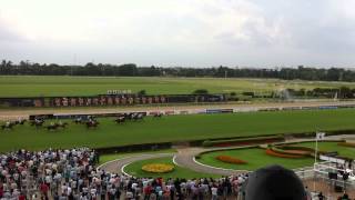 Recta Final de Pretty Girl con Juan Carlos Noriega ganando el Gran Premio Copa de Plata G. 1 2014