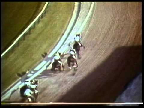 Secretariat wins the 1973 Preakness Stakes