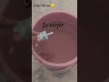 Water Pump At Home How To Make Water Pump #short #sahibtechnical #watetpump please spot me subscribe