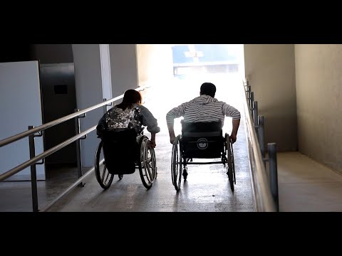 შეზღუდული შესაძლებლობის მქონე პირთა ვიზიტი