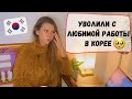 🤬Конфликт с корейским работодателем🔥 Катя и Кюдэ/Южная Корея