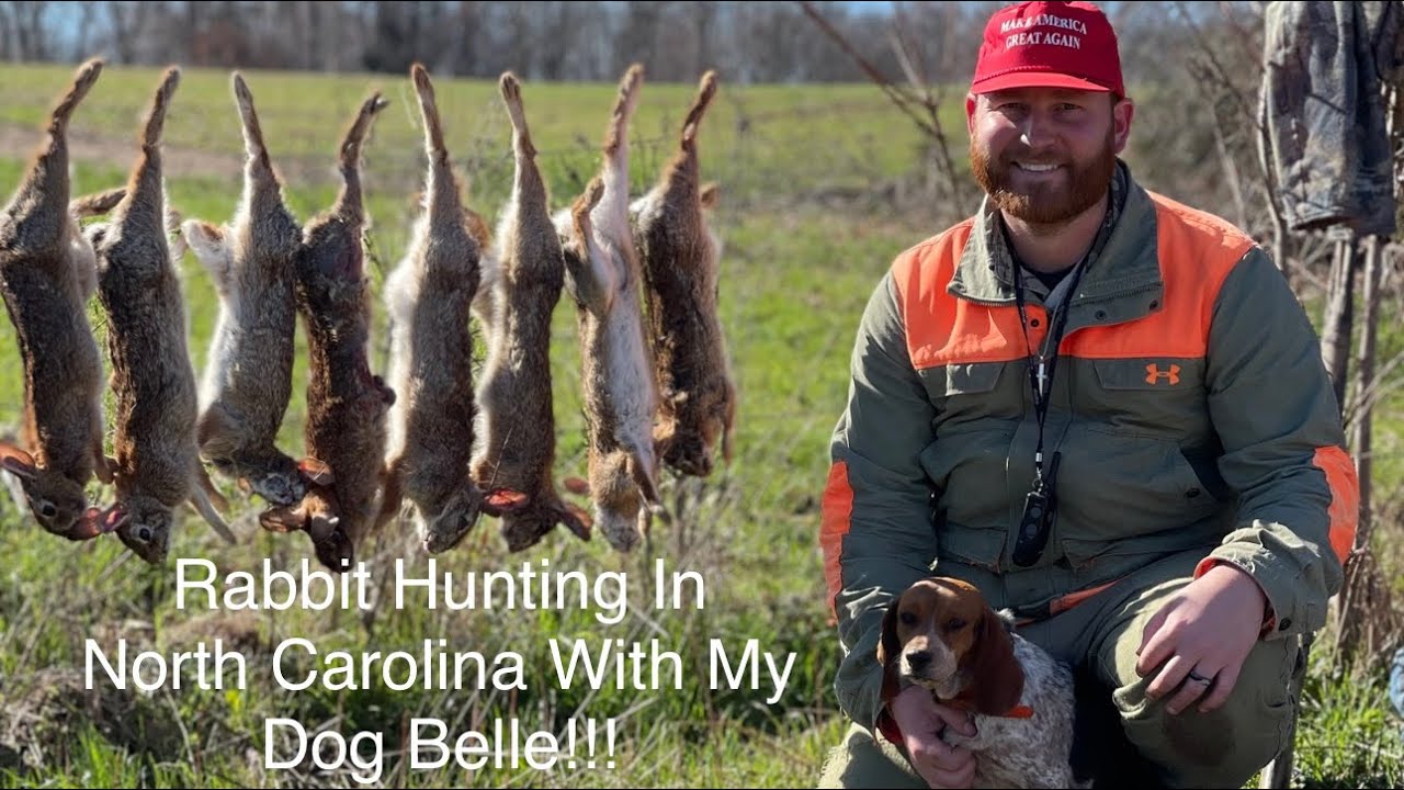RABBIT HUNTING in North Carolina with my DOG Belle!!! - YouTube