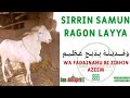 SIRRIN SAMUN RAGON LAYYA