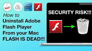 Uninstall Adobe Flash Player from your Mac [FULL REMOVE HOW TO] Flash is EOL and is a SECURITY RISK! screenshot 4