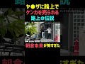 ヤ●ザに路上で喧嘩を売られる【路上の伝説】朝倉未来が怖すぎた 【朝倉未来/切り抜き】ドッキリ #shorts #朝倉未来